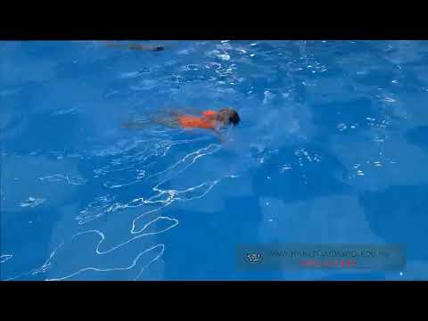 Video Dạy Bơi Ngửa Cho Trẻ Em - Lớp Học Bơi Ngửa Cơ Bản Tại... - youtube