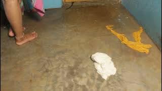 desi gosol video. kakoli gosol video