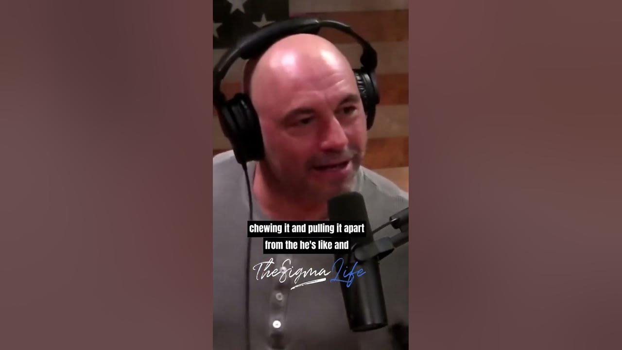Joe Rogan about chimps - YouTube