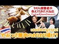 地元民から外国人旅行者まで愛される絶品タイ料理“やみつきカリカリ豚”【人気グルメ・バンコク】