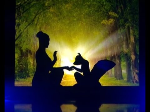 Театр Теней TEULIS. Шоу «Твоя тень»