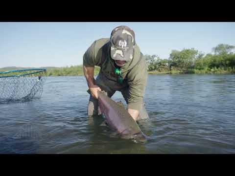 KING SALMON FISHING - ALASKA
