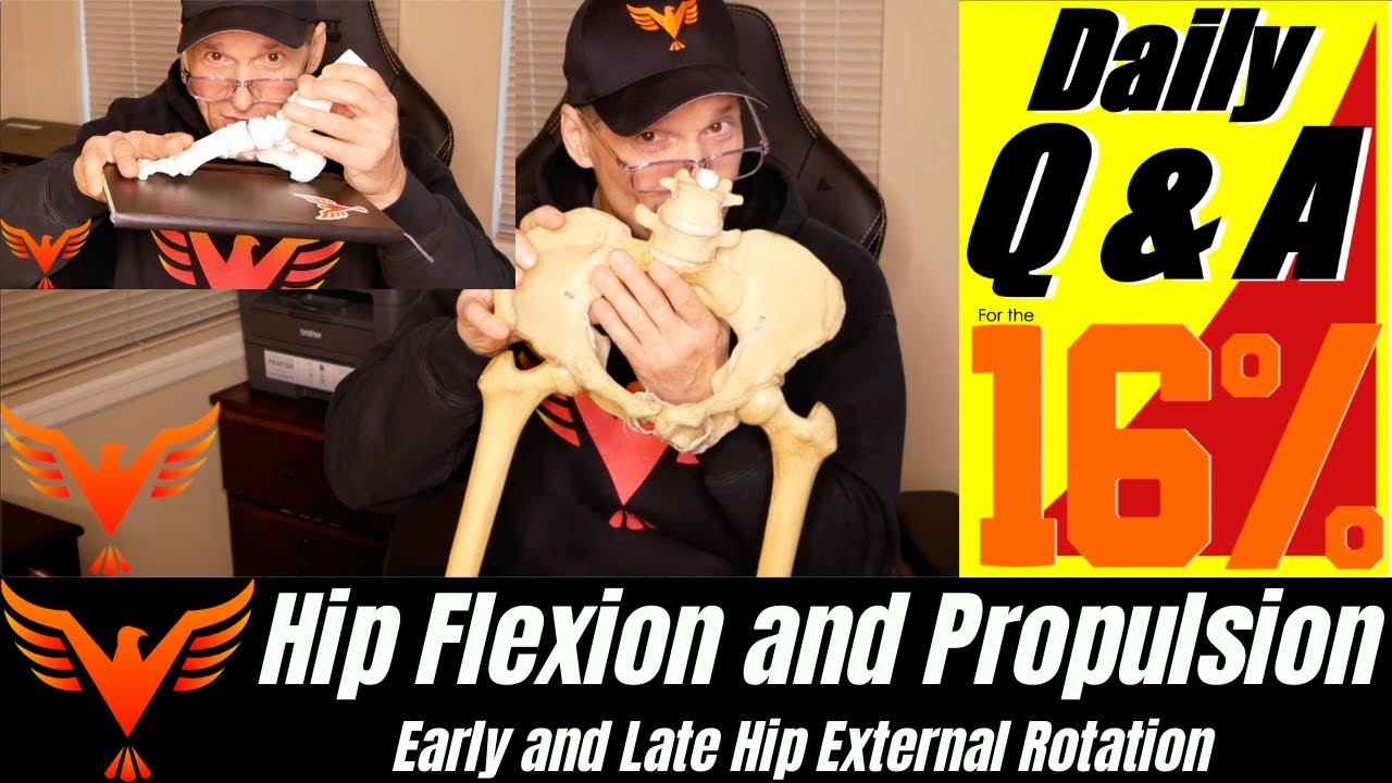 Q & A for The 16% - Hip 