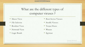 Class VI Computer Viruses
