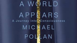 Consciousness Explained | Michael Pollan's A World Appears Full Breakdown