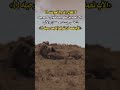 لا الخال والد ولا العم سند حالات واتس شعر قصايد 