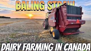 Baling Straw, Combines Down...
