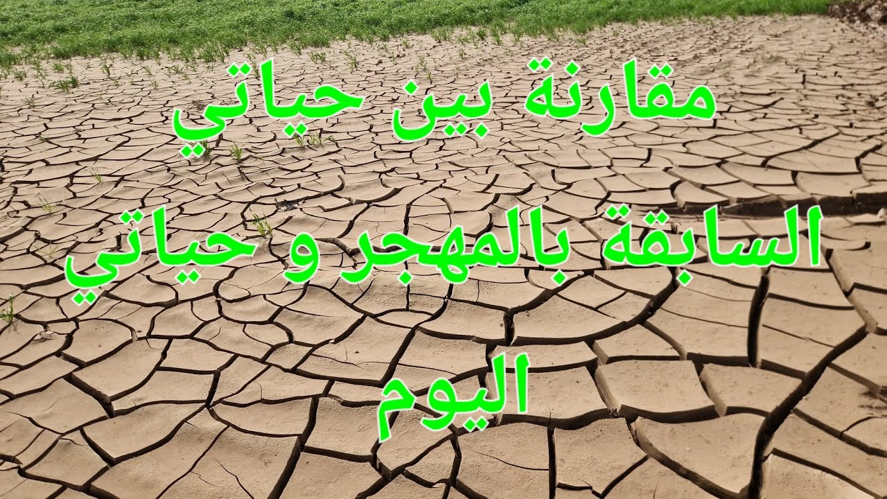 الحلقة 779.❤️🇲🇦❤️ حياتي بين الامس و اليوم ، مقارنة بسيطة لكن مهمة جدا ناخذو منها العبر