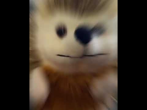 alfredo the hedgehog stuffed animal