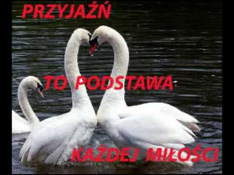 Jutronauci: Jak nauczyć się żyć i pracować z AI?