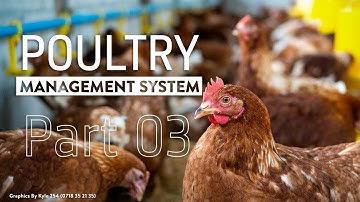 PART 3 | Poultry Management system using Microsoft Access Database | Queries and Forms