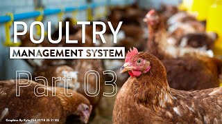 PART 3 | Poultry Management system using Microsoft Access Database | Queries and Forms