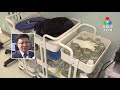 灣區追蹤•中醫藥人才發展