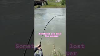 I lost the monster sturgeon #ytshorts #fishing#shortviral#sturgeon#trendingshorts#shorts#ytviral#yt