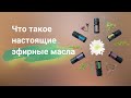 Что такое настоящие эфирные масла. Бая Че Доктор Натуропатии