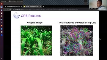 Garden Monitoring Using Computer Vision and Machine Learning: Classification Approach