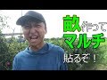 機械不使用！クワでやるマルチの張り方！