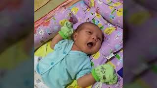 Ada Band Buah Hatiku