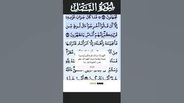 سورة النمل الآية 56 #قرآن #تلاوات #سورة