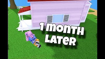 DBZ Final Stand Remastered, ONE MONTH LATER......