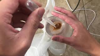 How To Hatch Millions Of Brine Shrimp  Cheap Diy Brine Shrimp Hatchery For Bettas Tetras Guppies