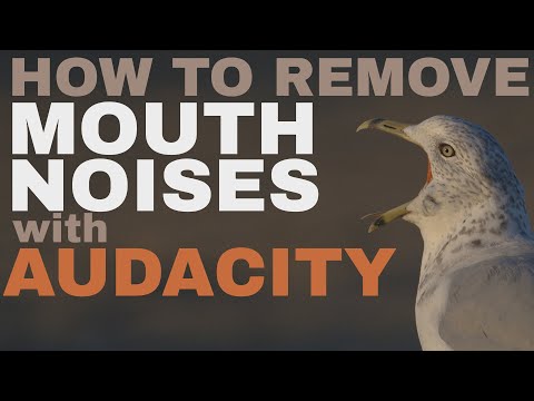 Remove Mouth Noises and Clicks with Audacity: The Ultimate Guide