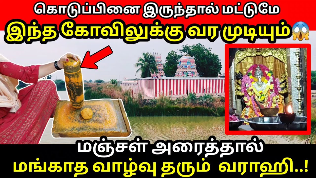 கொடுப்பினை இருந்தால் மட்டுமே இந்த கோவிலுக்கு வர முடியும்😱மஞ்சள் அரைத்தால் மங்காத வாழ்வு தரும்  வராஹி
