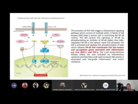 Vídeo: Un Nuevo Derivado Del Resveratrol Induce El Paro Mitótico, La Fragmentación Del Centrosoma Y La Muerte De Las Células Cancerosas Al Inhibir La γ-tubulina