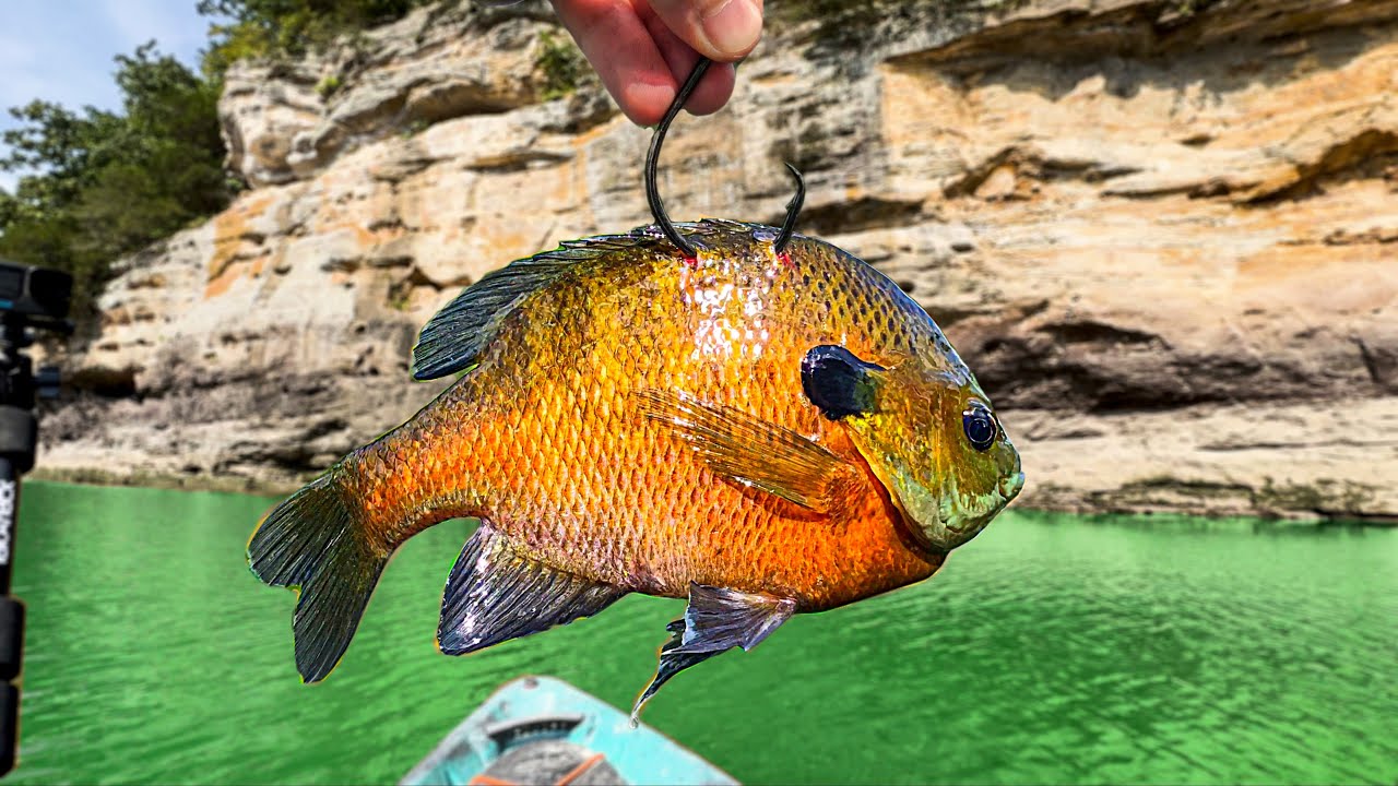 The Pond Monster Stole ALL MY LINE!!! (LONGEST fish Yet!)