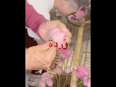 نقطعت من غصنها اسفه ع سحبه تصميمي لايك واشتراك