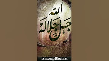 تلاوه خاشعه خالد الجليل ✨