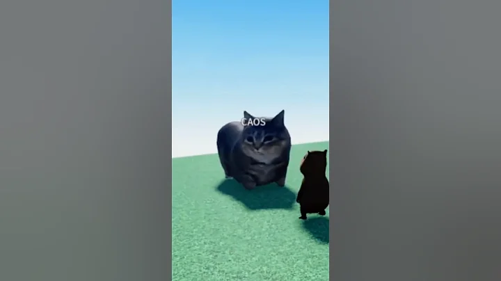 GATO OIIA OIIA #meme #oia #cat #brainrot #fyp