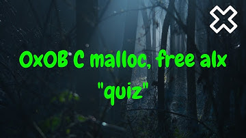 0x0B  C   malloc, free alx quiz
