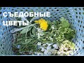 Немного о СЪЕДОБНЫХ ЦВЕТАХ. Цветочная кулинария.