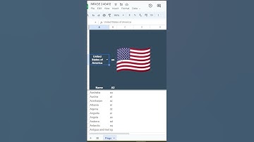 Country flags in Google Sheets, or how you can use the IMAGE formula