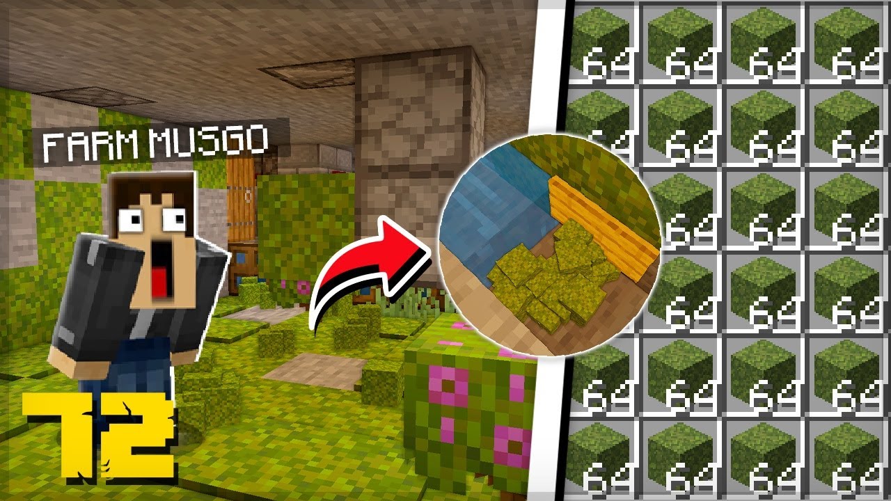 FARM GERADORA De BLOCO DE MUSGO INFINITO Minecraft Survival 72 YouTube farm-geradora-de-bloco-de-musgo-infinito-minecraft-survival-72-youtube