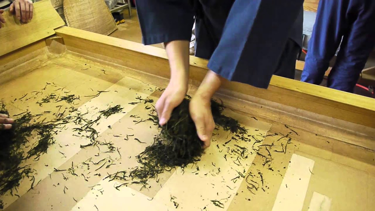 Hand roll japanese tea 