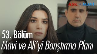 Mavi ve Ali'yi barıştırma planı - Aşk ve Mavi 53. Bölüm