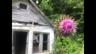 Walton's Scenic Road Byway - Cumberland Plateau Area, TN