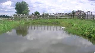 ПРУД В ДЕРЕВНЕ, год спустя.