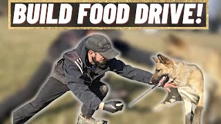 HOW TO MAKE YOUR DOG FOOD MOTIVATED!