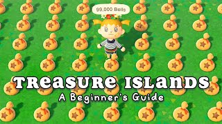 How to use Treasure Islands in Animal Crossing New Horizons