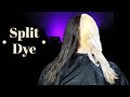 Brown & Blonde Split Dye!