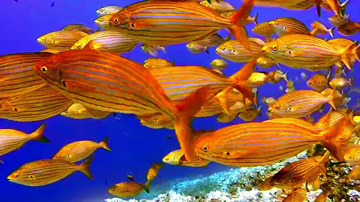 FLYING OVER NORWAY (4K UHD) 1HR Ambient Drone Film + Music by Nature Relaxation™ for Stress Relief