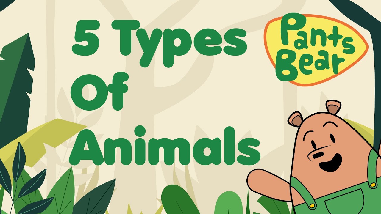 ⁣Animal classification for Kids |  Mammals, Birds, Reptiles, Amphibians & Fish | Animal Groups
