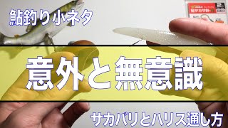 【鮎釣り】サカバリとハリスのセッティングその１　鮎釣り小ネタ