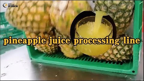 Revolutionize Your Pineapple Juice Production! Shanghai Chase