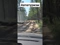 Путешествие на авто должно быть впечатляющим