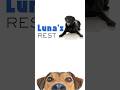 Lunas Rest