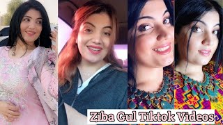 Bashir Hasan New Song Gul Hawasa Da 2020